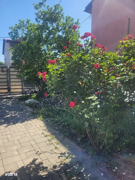 Constantin Brancoveanu Bucuresti